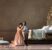 Le nozze di Figaro eleganti ed egalitarie di Emilio Sagi aprono la stagione operistica genovese
